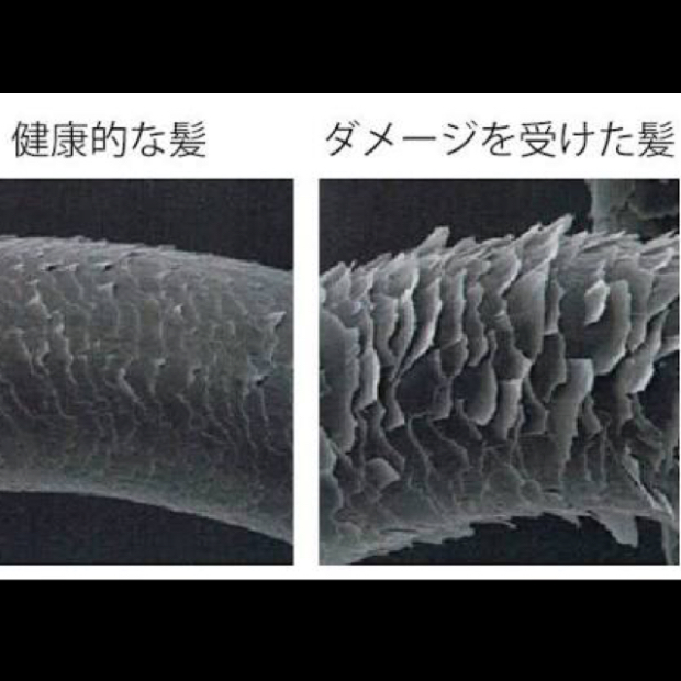 キューティクル比較